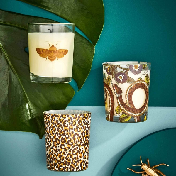 Žvakučių rinkinys